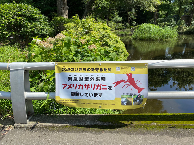 駆除を知らせるポスター